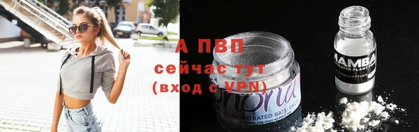 крисы Дмитриев