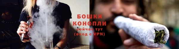 дурь Дмитровск